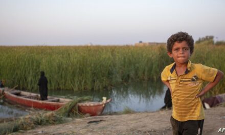 التغيرات المناخية في أهوار العراق تُجبر طلبة على ترك مدارسهم